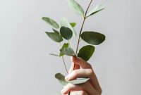 Wallpaper Person Holding Leaf Plant