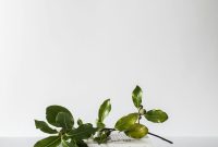 Wallpaper Green Leafed Plant