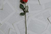 Wallpaper Red Rose on Book Sheets