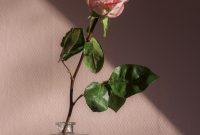 Wallpaper Pink Flower