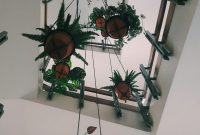 Wallpaper Low Angle Hanging Plant Pots