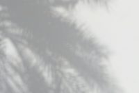 Wallpaper Palm Tree