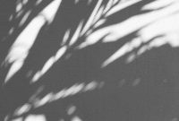 Wallpaper Silhouette of Palm Tree
