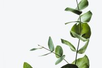 Wallpaper Green Leaf