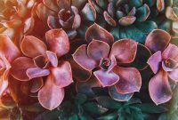 Wallpaper Pink and Green Flower Painting