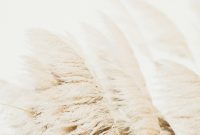 Wallpaper A Bunch of White Feathers Blowing in the Wind