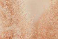 Wallpaper Brown Grass Blur