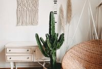 Wallpaper Green Cactus Plant in Room