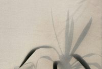 Wallpaper A Shadow of a Plant on a White Sheet
