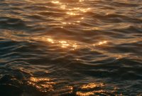 Wallpaper Calm Sea During Golden Hour