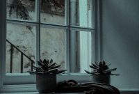 Wallpaper Two Succulents Beside Pane Window