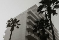 Wallpaper Greyscale Palm Tree Beside Building