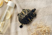 Wallpaper Black and Gold Turtle Figurine