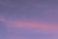 Wallpaper Silhouette of Trees Under Cloudy Sky