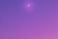 Wallpaper Green Sky with Sun During Daytime