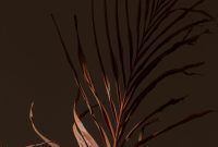 Wallpaper Brown Plant on Black Background