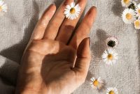 Wallpaper Person Holding White Daisy Flowers