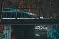 Wallpaper A Bridge with Graffiti in a Forest