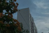 Wallpaper Tall White Building Beside Lush Green Forest