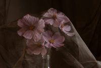 Wallpaper A Vase of Pink Flowers on a Table