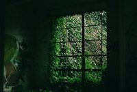 Wallpaper A Dark Room with a Window and Vine-Covered Wall