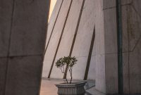 Wallpaper A Potted Plant in Front of a Tall Building